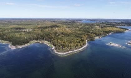 Långnabba.