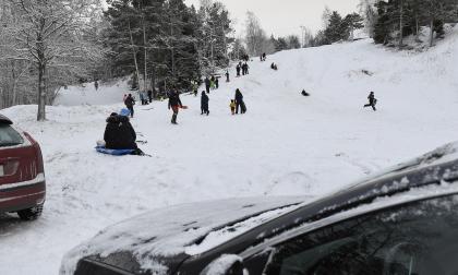 Gnisten.