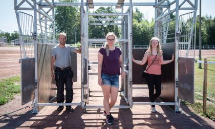 Hstsport, infr NM fr islandshstar, Jens Andersn, Therese Ling, Elin Andersn