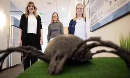 Infektionsläkaren Marika Nordberg och de biomedicinska analytikerna Nellie Carlströmer Berthén och Susanne Olausson överraskades av vissa av studiens resultat. (Fästingen i förgrunden är ett konstverk signerat Johan Karlsson.) 
