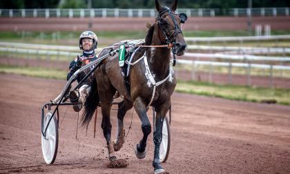 Lukanos och Claes Sjöström tog den enda hemmasegern i lördagens travtävlingar på Norrböleovalen.<@Fotograf>Amir Karbalaei