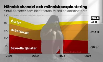 Antal personer utsatta för människohandel och människoexploatering som identifierats av regionkoordinatorer, 2021–2024.