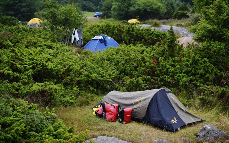 Camping.