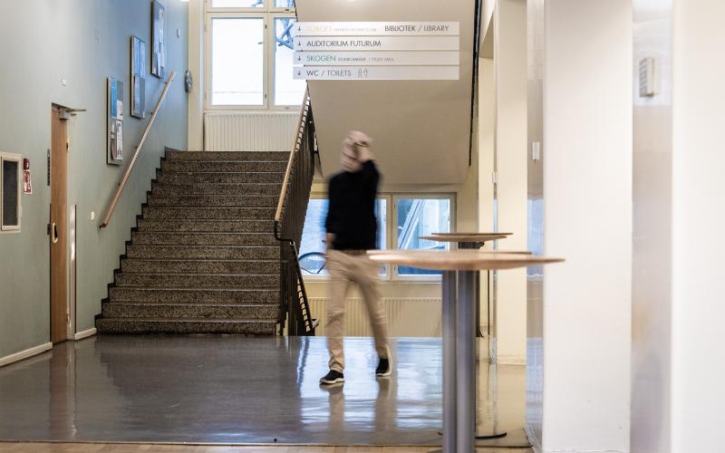 Hanken, Hanken School of economics, utbildning, 