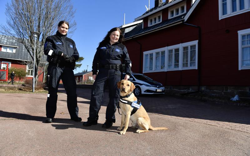 Blåljus, Folkis