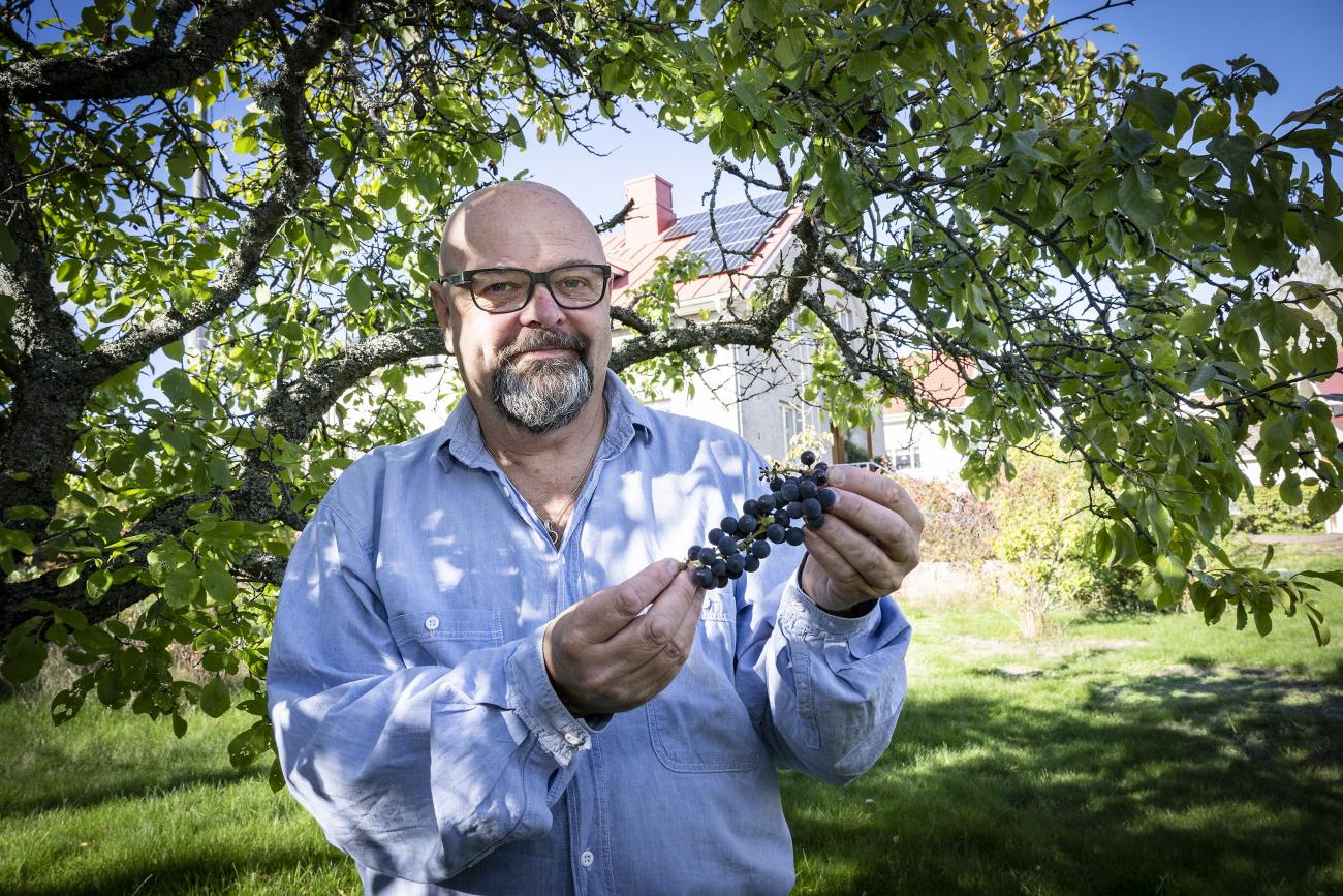 Arn-Henrik Blomqvist