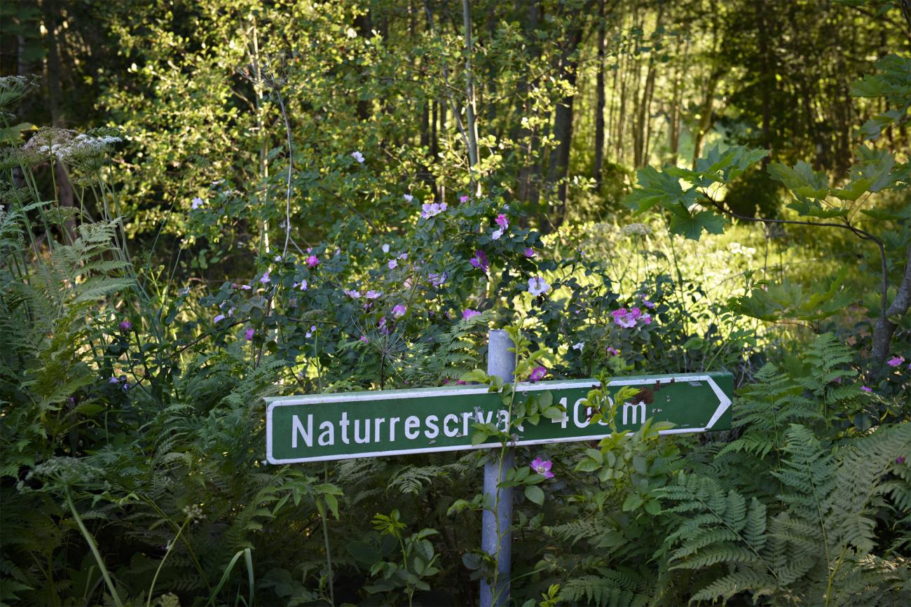 Landskapsregeringen vill befria privata naturreservat från fastighetsskatt.
