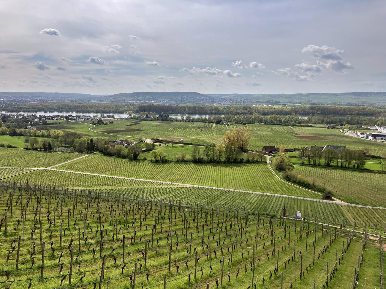 Utsikt från restaurangen på Schloss Johannisberg. Rheingau är otroligt vackert när vädret visar sig från sin bästa sida.